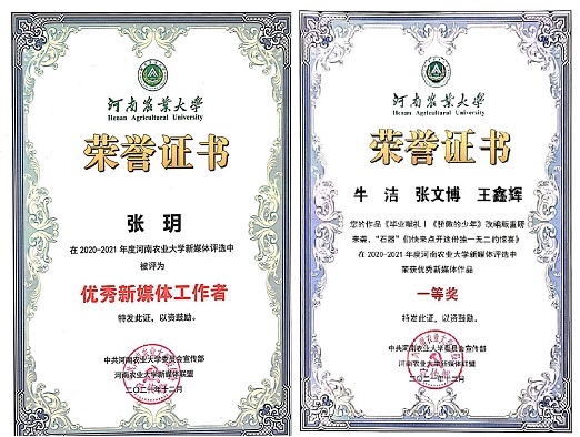 优秀新媒体工作者证书.jpg