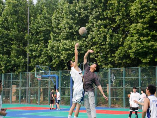 微信图片_20230606100237(1).jpg